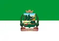 Flag of Irineópolis