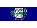 Flag of Moreno