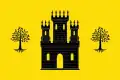 Flag of Alcoletge
