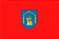 Flag of Berbinzana