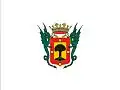 Flag of La Orotava