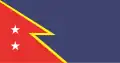 Flag of Libertador Municipality