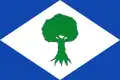 Flag of Noceda del Bierzo
