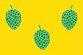 Flag of Pina de Ebro