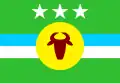Flag of Rosario de Perijá Municipality