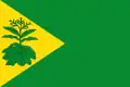Flag of Valderrubio