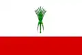 Flag of Villasequilla