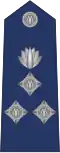 Bangladesh Police