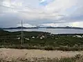 Banići