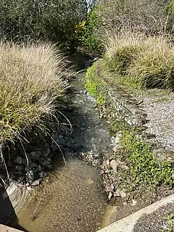 Upper reach of Barron Creek as it flows north near La Paloma Road in Los Altos Hills