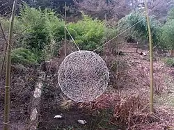 Basket_of_Air