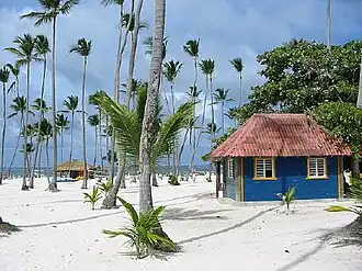 Bavaro