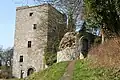 Tour Salamandre