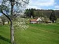 At the Vogt auf Mühlstein (3rd&nbsp;Stage)