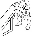 Bilateral standing dumbbell fly begin