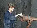 Fell slate mine