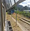 Big Banana Train Set