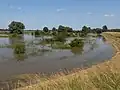 The Waal during high water