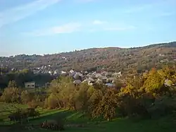 Panoramic view