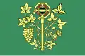 Flag of Blšany u Loun