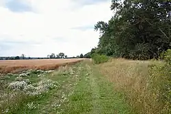 Black Ditches, Cavenham