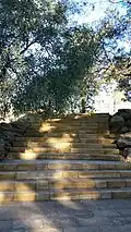 Blue Mountains suburbs staircase