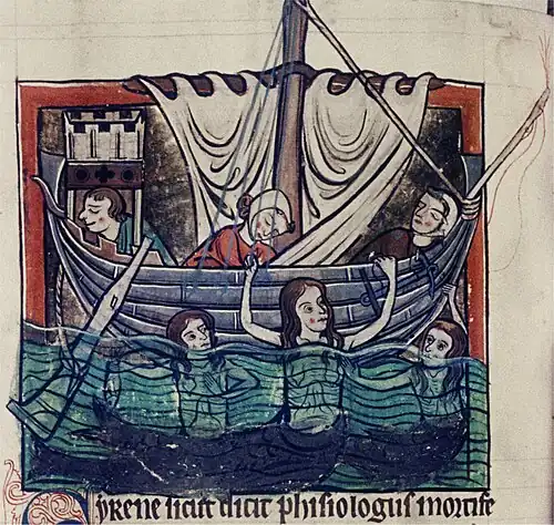 Sirens swimming, in Bodleian bestiary
