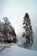 Kartalkaya in winter