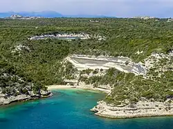 Bonifacio