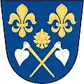 Coat of arms of Borovy