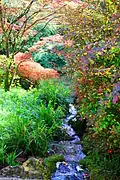 Botanical Gardens