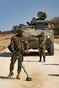 BDF Ground Forces