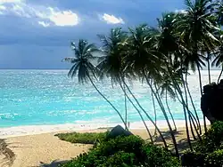 Bottom Bay