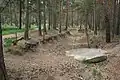Image 1Pineferous forest of the sandy Bagshot Formation spanning parts of four boroughs towards the north-west and in the far west of the county, with defensive positions for historic army training near Deepcut and Pirbright (from Portal:Surrey/Selected pictures)