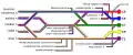 Brachial plexus with courses of spinal nerves shown