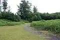 Knole Park
