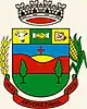 Coat of arms of Arvorezinha