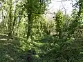 Brede Pit and Cutting