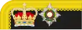1867 to 1880 colonel's collar rank insignia