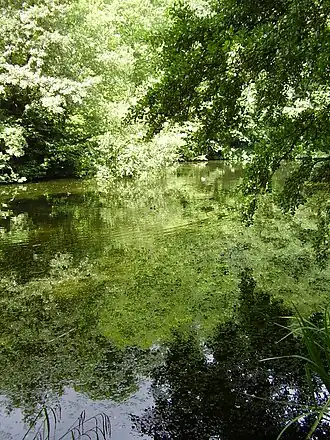 Image 4 Credit: O1ive Brockhill Country Park is dominated by a large grassy valley, bisected by the Brockhill Stream as it makes its way to the Royal Military Canal at Hythe. More about Brockhill Country Park... (from Portal:Kent/Selected pictures)