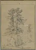 Sketchbook Conway New Hampshire - Brooklyn Museum