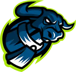 Team logo