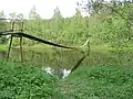 A hanging bridge across Neris