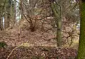 Zur Alten Burg monumental zone