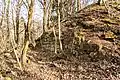The Ruin of Castle Wiesbach