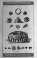 Gold and amber ornaments and ceramic incense burner from Normanton Down[75][76]