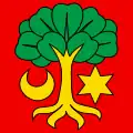 Flag of Erlach / Cerlier
