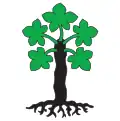 Flag of Trun