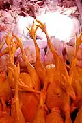 Chicken meat in Chow Kit