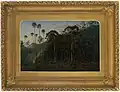 Cabbage Trees near the Shoalhaven River, by Eugene von Guerard (1860)[20]
